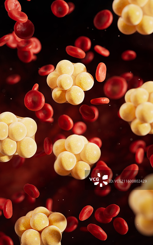 血液中的脂肪组织三维渲染图片素材