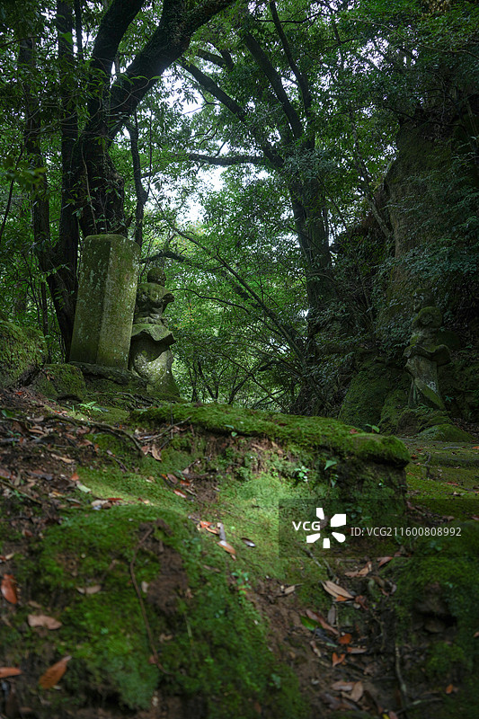 日本鹿儿岛县慈眼寺公园夏天户外大自然秘境图片素材