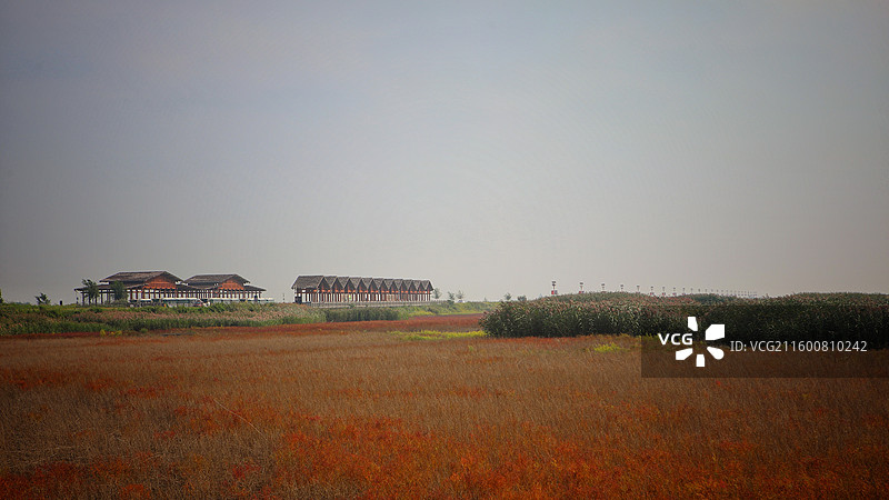 盘锦市红海滩国家风景廊道一景图片素材