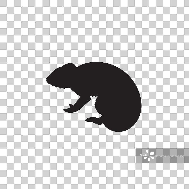 彩色迷彩深色变色龙图标徽章图片素材