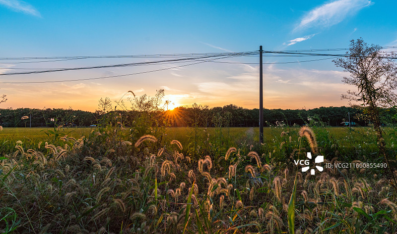 金秋乡村图片素材