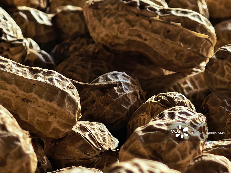 花生的光影图片素材