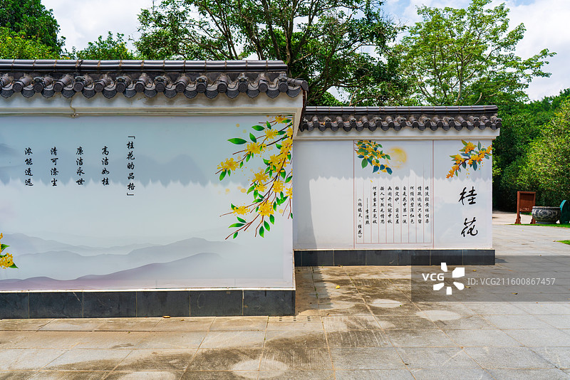 南宁青秀山风景区桂花园图片素材
