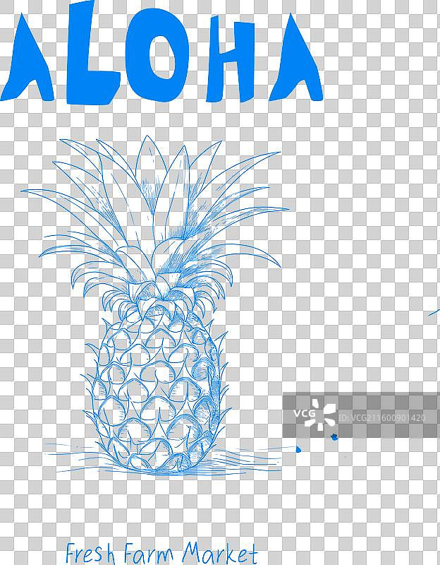 菠萝，水果，夏天，阿罗哈图片素材