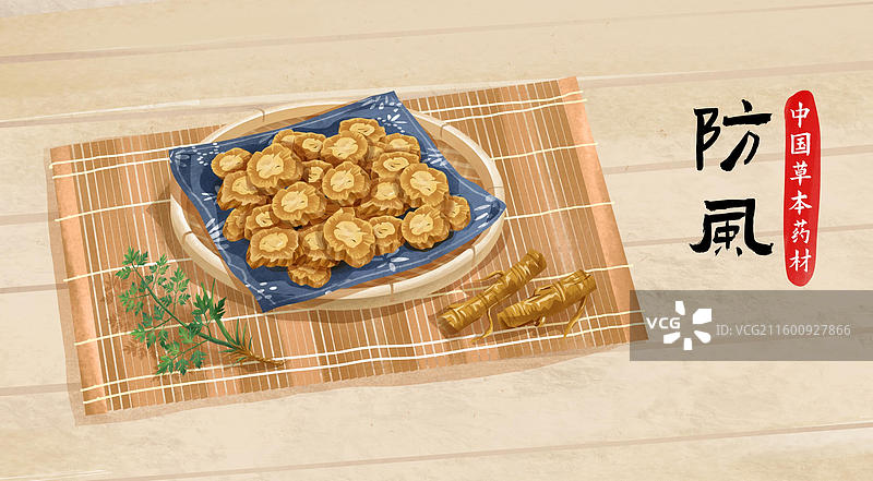 中国传统文化中草药药材之 防风图片素材