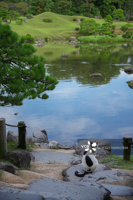 日本熊本水前寺成趣园称水前寺公园图片素材