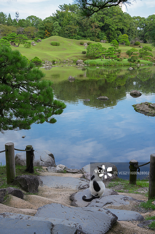 日本熊本水前寺成趣园称水前寺公园图片素材