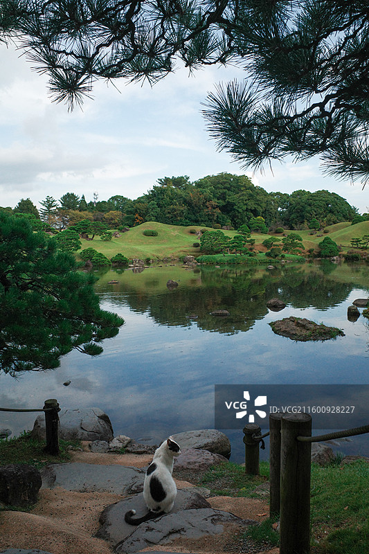 日本熊本水前寺成趣园称水前寺公园图片素材