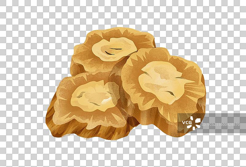 中国传统文化中草药药材之 防风图片素材