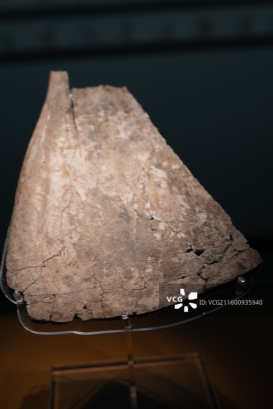 殷商博物馆卜甲图片素材