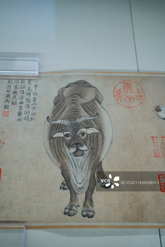 唐朝韩滉《五牛图》五牛图卷（局部）  中国十大传世名画   “百年守护——从紫禁城到故宫博物院”展览图片素材