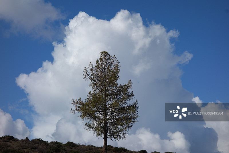 新疆阿勒泰地区哈巴河县：呼吉尔特边境风光图片素材