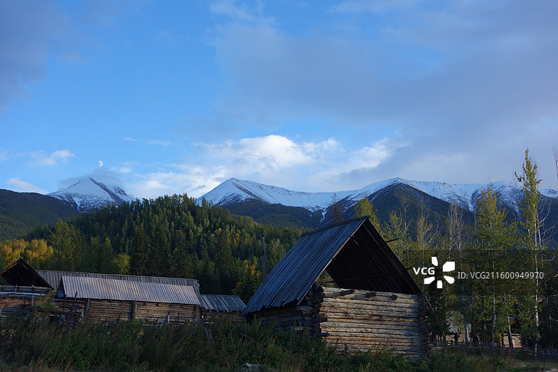 新疆阿勒泰地区哈巴河县白哈巴村秋色图片素材
