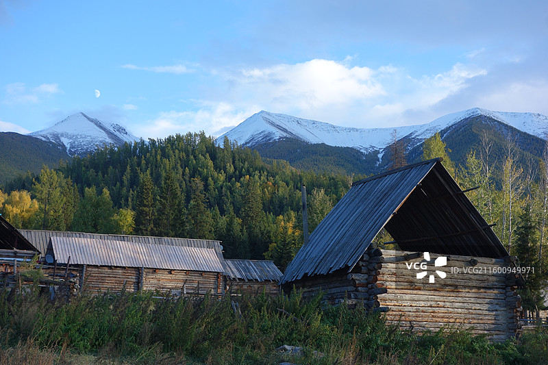 新疆阿勒泰地区哈巴河县白哈巴村秋色图片素材