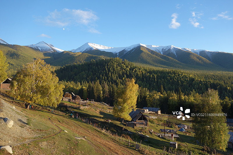 新疆阿勒泰地区哈巴河县白哈巴村秋色图片素材