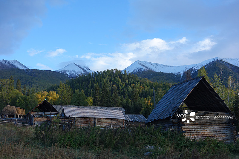 新疆阿勒泰地区哈巴河县白哈巴村秋色图片素材