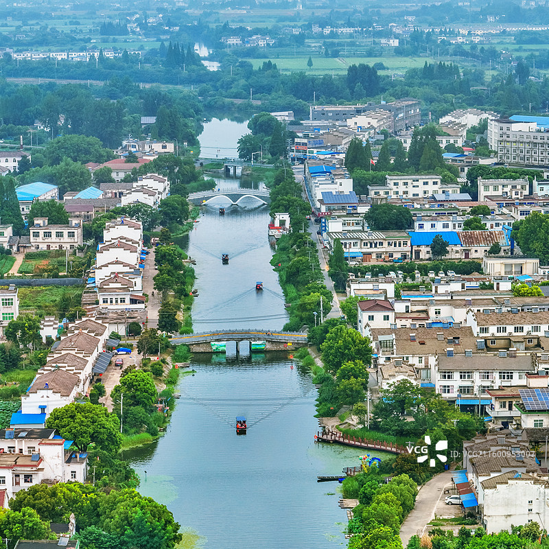 芜湖陶辛水韵荷花盛开图片素材