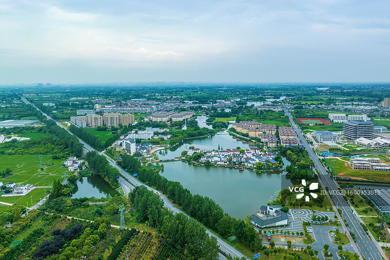 芜湖陶辛水韵荷花盛开图片素材