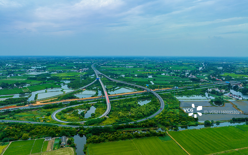 芜湖陶辛水韵荷花盛开图片素材