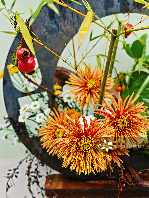 成都人民公园菊花展图片素材