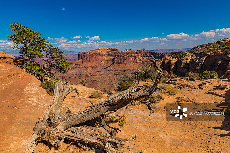 美国犹他州拱门国家公园风光图片素材