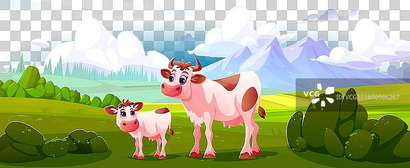 夏日山景中的奶牛和小牛图片素材