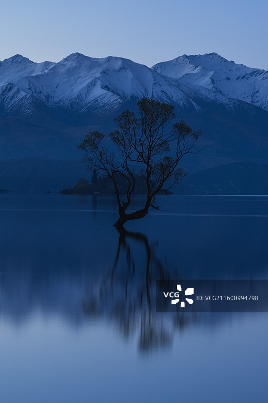 新西兰湖景，长曝光风景，新西兰孤独的树图片素材