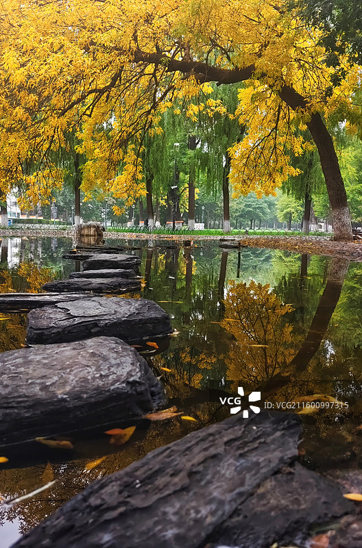 爱在深秋图片素材