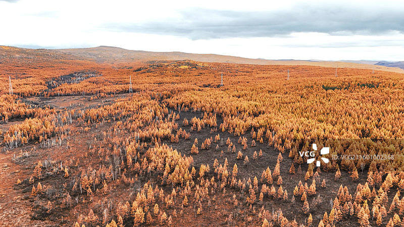 航拍根河敖鲁古雅使鹿部落森林公路图片素材