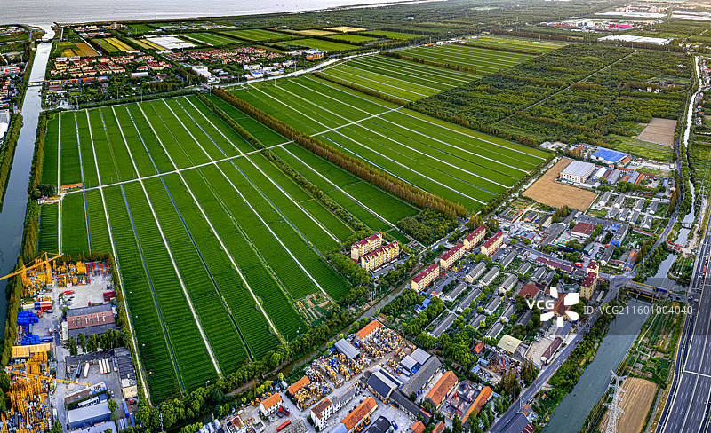 航拍上海五四农场 上山下乡知青岁月 盐碱土改良种植水稻 沿海滩涂围垦造田 杭州湾北岸 奉贤海湾镇图片素材