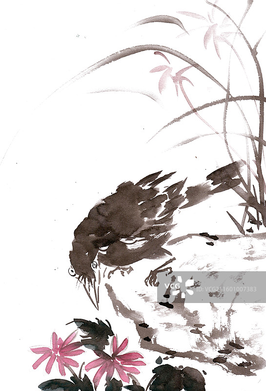 觅食的小鸟图片素材