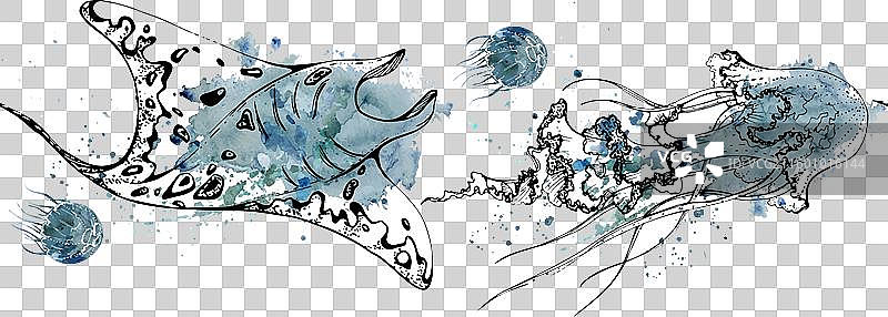 水彩和墨水手绘海洋生物，海图片素材