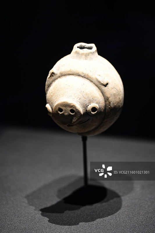 三星堆博物馆 陶猪图片素材