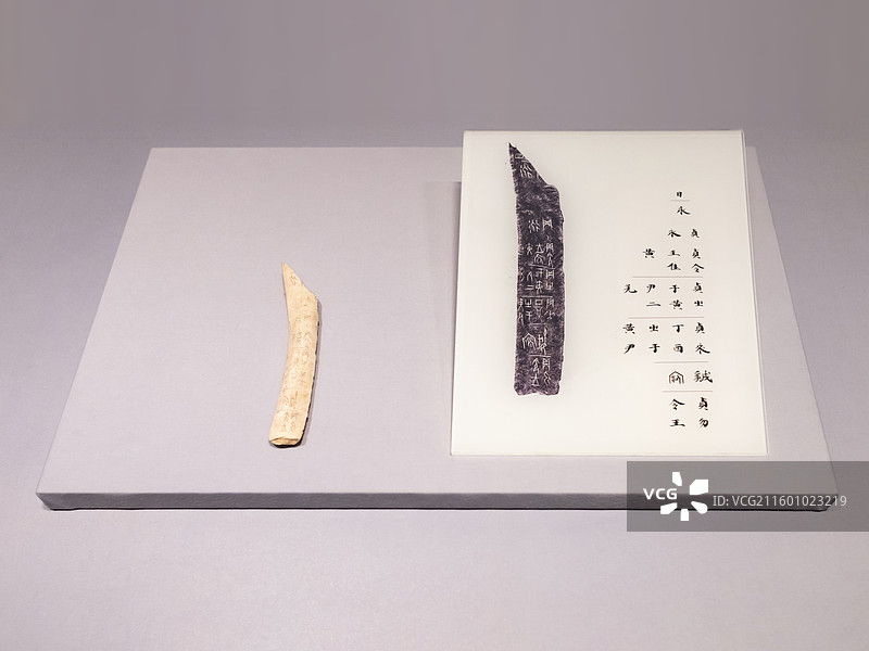 商武丁 于黄尹卜骨及拓片 天津博物馆图片素材