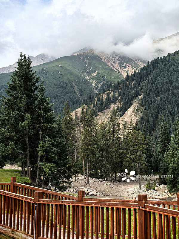 祁连县冰沟林海图片素材