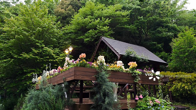 神户布引香草园是香草主题园区，可乘索道前往，香草种类丰富，能赏景、体验香草文化，是休闲观光好去处。图片素材