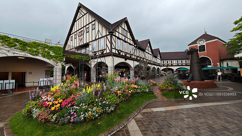 神户布引香草园是香草主题园区，可乘索道前往，香草种类丰富，能赏景、体验香草文化，是休闲观光好去处。图片素材