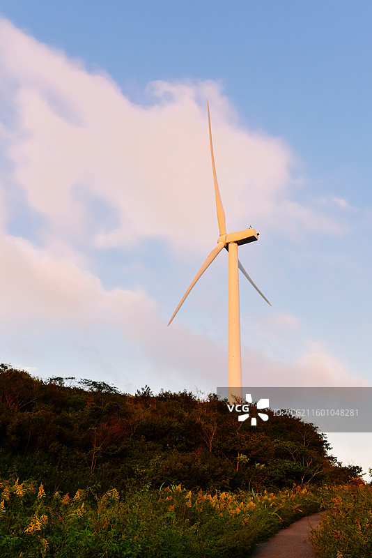 浙江宁波鄞州区横溪镇白岩山山水印最美风车公路风力发电机组与茶园秋日日落风景图片素材