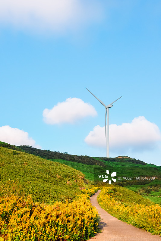 浙江宁波鄞州区横溪镇白岩山山水印最美风车公路风力发电机组与茶园秋日风景图片素材