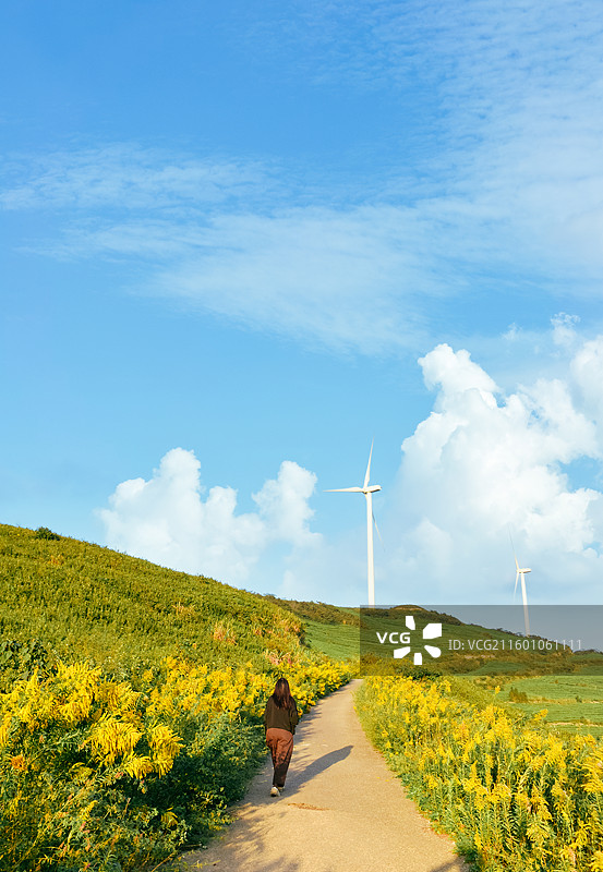 一位亚洲女性在浙江宁波鄞州区横溪镇白岩山山水印最美风车公路欣赏风力发电机组秋日风景图片素材