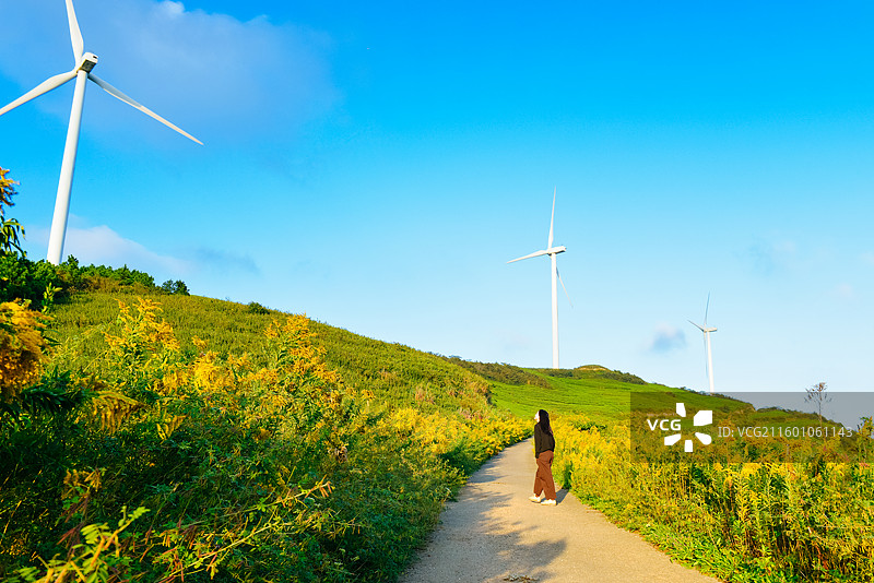 一位亚洲女性在浙江宁波鄞州区横溪镇白岩山山水印最美风车公路欣赏风力发电机组秋日风景图片素材