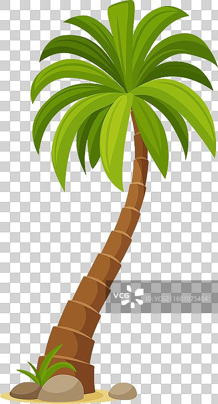 卡通丛林椰子棕榈树热带植物图片素材