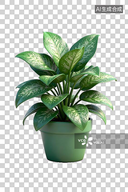 【AI数字艺术】室内带斑纹的绿色盆栽植物图片素材