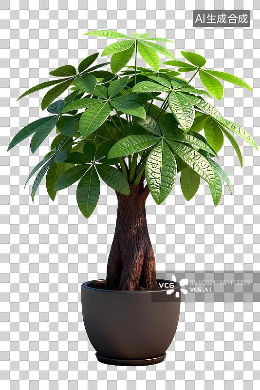 【AI数字艺术】室内盆栽发财树图片素材