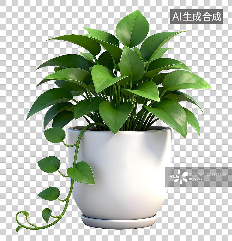 【AI数字艺术】白色花盆中的绿萝绿植图片素材