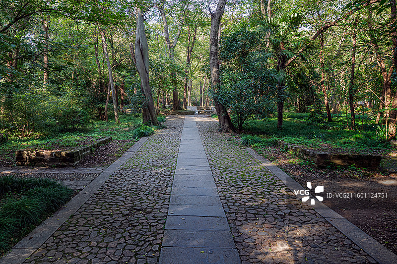 南京明孝陵风景区深度游-明东陵遗址图片素材