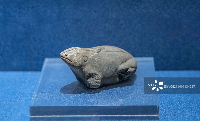 辽宁省沈阳博物馆“沈阳历史陈列”：陶蛙（东周，于洪区郑家洼子出土）图片素材