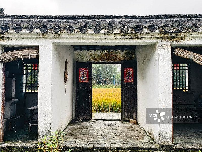 溱湖国家湿地公园稻田人家图片素材