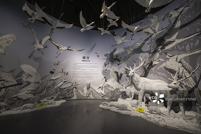 中国湿地博物馆图片素材