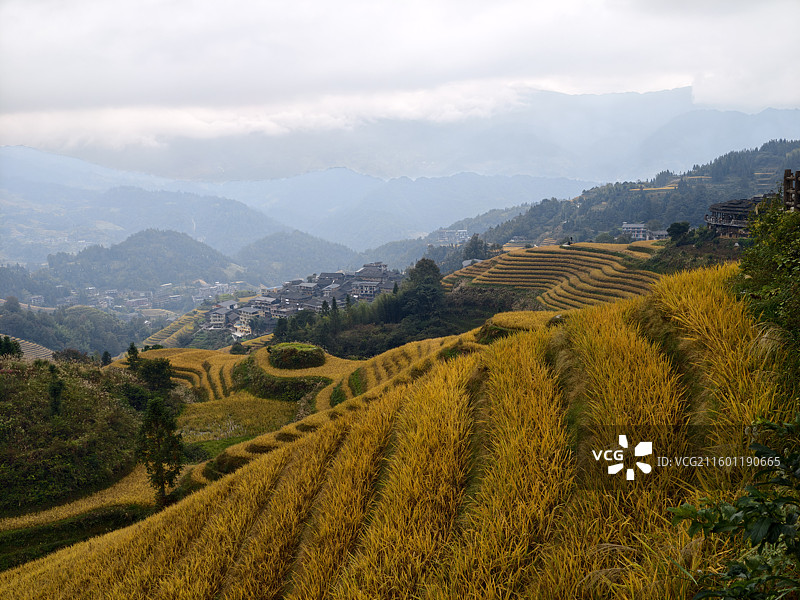 桂林龙胜龙脊梯田图片素材